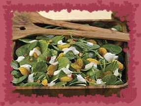 salat salat