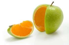Основные заблуждения о здоровом питании: полезные фрукты