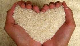Самые популярные монодиеты: рисовая