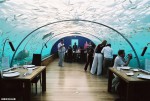 Первый  ресторан под водой на Мальдивах